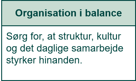 Organisation i balance